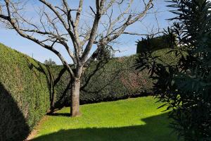 Appartements BEGONIA 21 Bel appartement dans residence avec piscine : photos des chambres