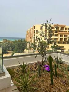 Luxueux appartement en bord de mer