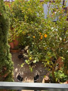 Hotels Boutique hotel Maria-Christina : photos des chambres