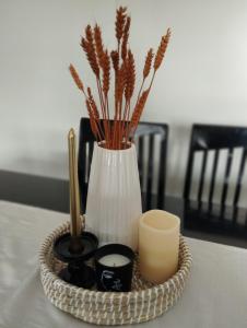 the house on the meadow