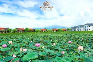 Tắm khoáng Onsen mineral bath, Vuon Vua, Thanh Thuy, Phu Tho