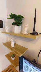 aCed Staycation 6 pax accommodation