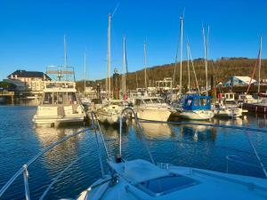 Bateaux Bateau Le Cezar : photos des chambres