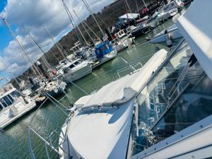 Bateaux Bateau Le Cezar : photos des chambres