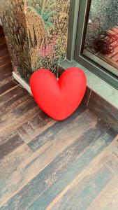 Maisons de vacances Romantique Love Room L Amour sous les Tropiques : photos des chambres