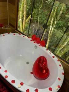 chalé Valle das Araucárias - 坎布伊