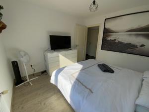 Appartements Flat near Strasbourg : photos des chambres