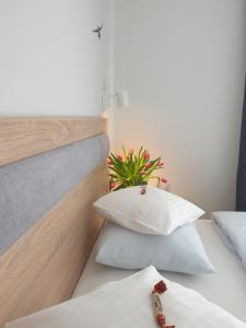 Pokoje Sandra I - Ubytování bez kategorie ve městě Leba