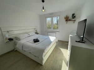 Appartements Flat near Strasbourg : photos des chambres
