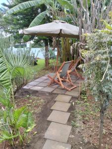 Chez Joep - Apartm with patio and terrace - 8min from UN