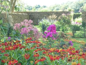 Luxury barn in Cotswolds with natural pool