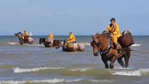 Appartement 1 chambre Twenty One Vue imprenable sur la mer