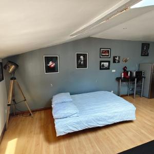 Appartements Cine Loft 55 m2 Centre Ville : photos des chambres