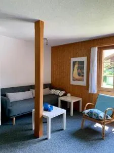 Ferienwohnung im Chalet "Underem Gfell 28" - 因内特基尔兴