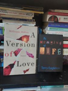 apartment in aglou beach