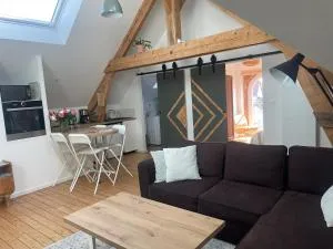 Appartement proche Comet et Orléans Centre - 圣让勒布朗