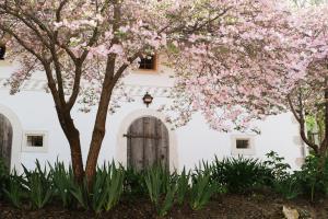 Lexsimihof - Presshaus