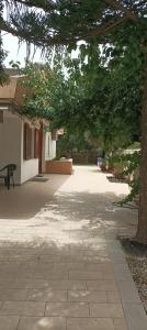 La Nottola di Minerva