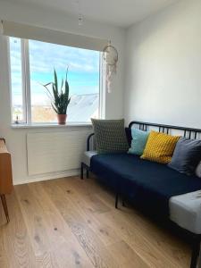 Sunny and cozy downtown apartment