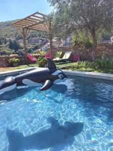 Appartements Gite SPA Piscine Cevennes : photos des chambres