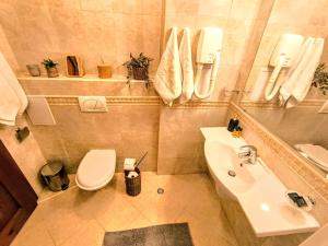 Luxury SPA Apartments TOP resort Bansko - incl wellness