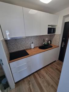 Studio Apartment Petra Umag