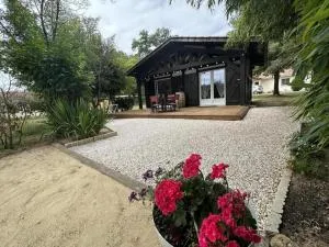 Elite - 蒙德马桑