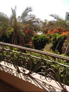 Luxury Apartment in front of Katameya heights and Choueifat