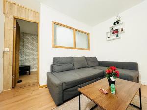 Appartements SUPERBE APPARTEMENT 2 PIECES AVEC GRANDE TERRASSE : photos des chambres