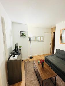 Appartements SUPERBE APPARTEMENT 2 PIECES AVEC GRANDE TERRASSE : photos des chambres