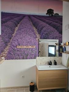 Appartements LA VASIO Hypercentre Vaison-la-Romaine - Air-conditioned : photos des chambres