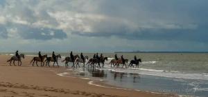 Campings MOBIL HOME LUXUEUX de 3ch - CAMPING LA PIGNADE 4 Etoiles - RONCE-LES-BAINS - COTE ATLANTIQUE : photos des chambres