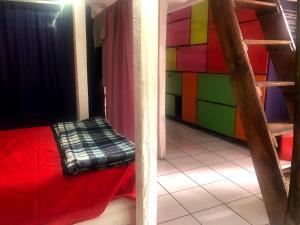 Iguana Hostel Oaxaca