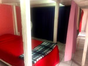 Iguana Hostel Oaxaca