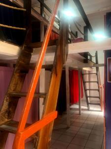 Iguana Hostel Oaxaca