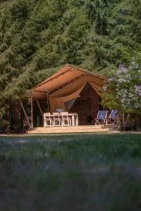 Wolny Las Glamping na Mazurach - Ławki