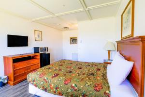 Suite - King Bed room in Country Hearth Inn & Suites By OYO Sturgis