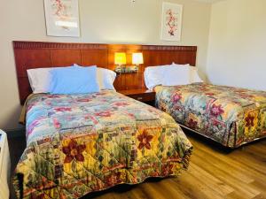 2 Bedroom Apartment room in Magnum Inn
