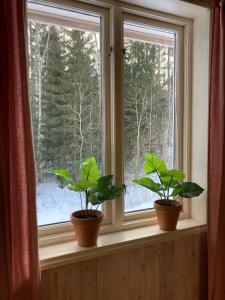 Neva Stallet, former horsestable