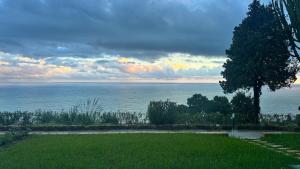 Pini, a Paradise Oasis