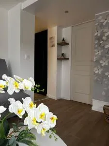 Ambiance cocooning pour visiter la Normandie - Giberville