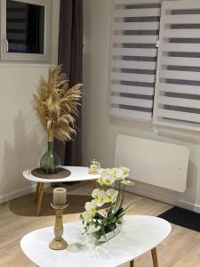 Appartements Ambiance cocooning pour visiter la Normandie : photos des chambres