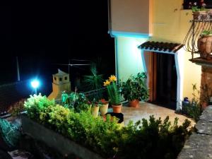 Appartamenti La Collina img6