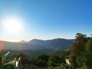 Appartamenti La Collina img21