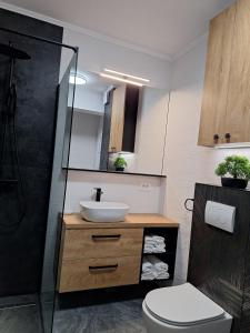 Coquette Studio Panoramic Oradea