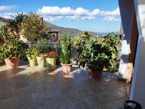 Appartamenti La Collina img80