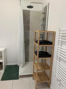 Zenith St Étienne Appartement