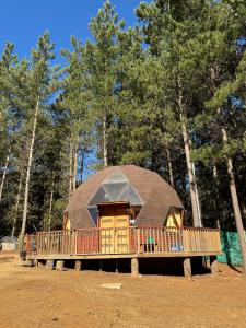 Bosque Domo II