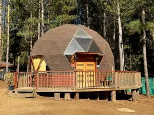 Bosque Domo II - Lagunillas