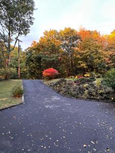 Cayuga lake cottage with private lake access